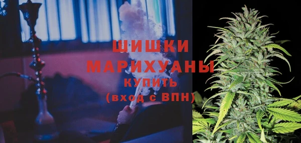 трава Аркадак