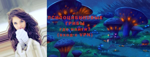 МДПВ Арсеньев