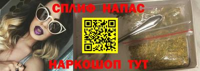 прущие грибы Северобайкальск