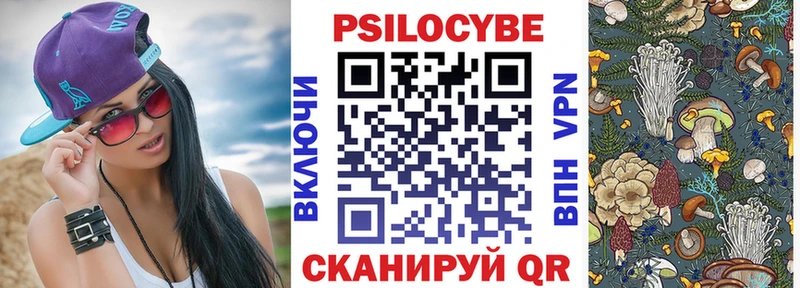 Галлюциногенные грибы Psilocybe  где можно купить наркотик  Барабинск 